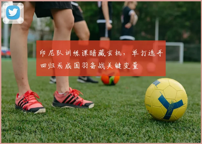 印尼队训练课暗藏玄机,单打选手回归或成国羽备战关键变量 - 搜狐体育推荐
