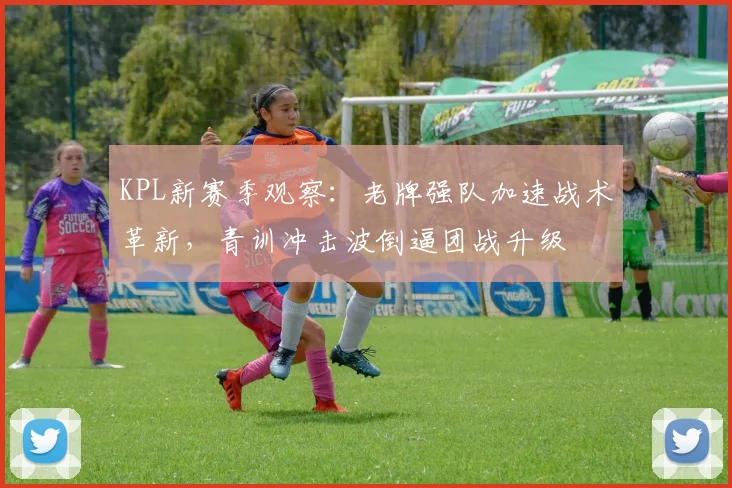 KPL新赛季观察:老牌强队加速战术革新,青训冲击波倒逼团战升级 - 搜狐体育推荐