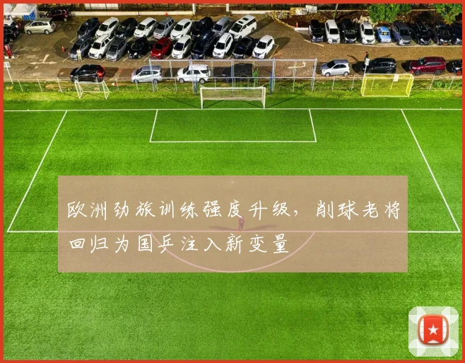 欧洲劲旅训练强度升级，削球老将回归为国乒注入新变量 - 搜狐体育推荐
