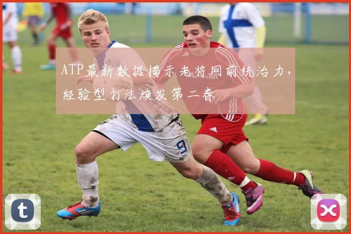 ATP最新数据揭示老将网前统治力,经验型打法焕发第二春 - 搜狐体育推荐