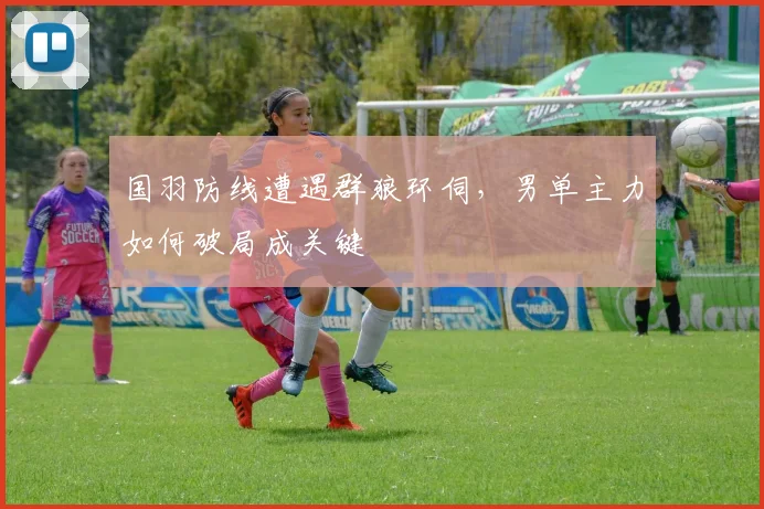 国羽防线遭遇群狼环伺，男单主力如何破局成关键 - 搜狐体育资讯