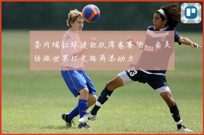 委内瑞拉球迷狂欢席卷赛场,南美劲旅世界杯之路再添动力 - 搜狐体育推荐