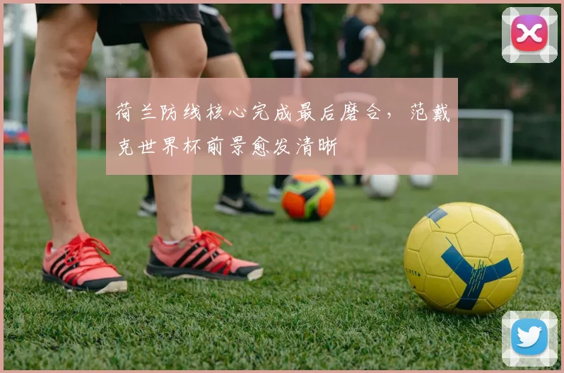 荷兰防线核心完成最后磨合,范戴克世界杯前景愈发清晰 - 搜狐体育推荐