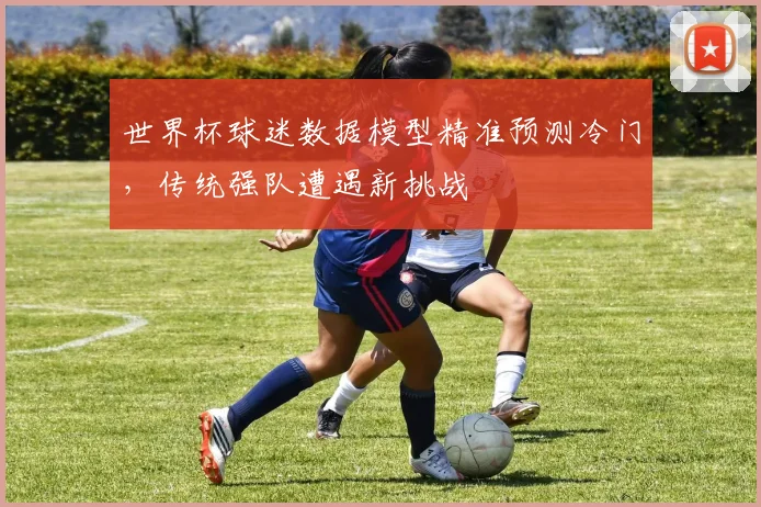 世界杯球迷数据模型精准预测冷门,传统强队遭遇新挑战 - 搜狐体育推荐