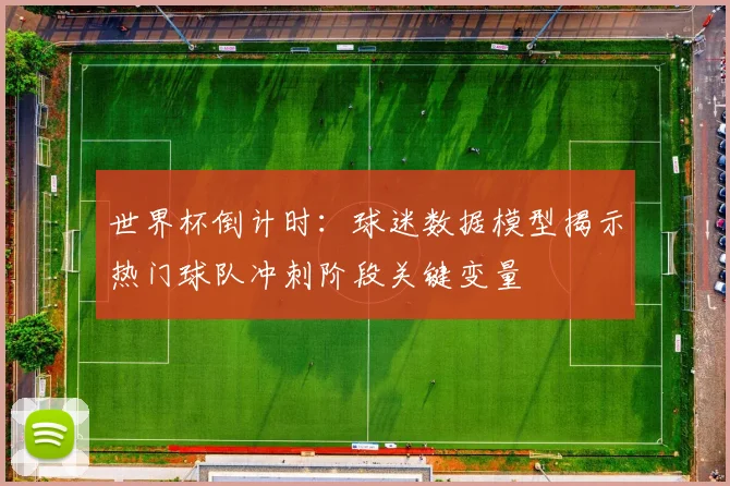 世界杯倒计时：球迷数据模型揭示热门球队冲刺阶段关键变量